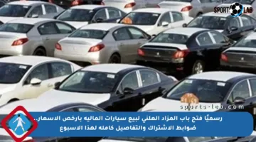 رسميًا فتح باب المزاد العلني لبيع سيارات المالية بأرخص الأسعار.. ضوابط الاشتراك والتفاصيل كاملة لهذا الأسبوع